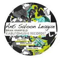 Brian Knarfield - Anti Saloon League