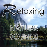 Studio Orchestra - Relaxing Nature Sounds Vol. 1