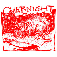 Overnight Lows - Slit Wrist Rock n Roll / I’m Gonna Be Everything