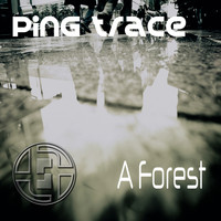 Ping Trace - A Forest