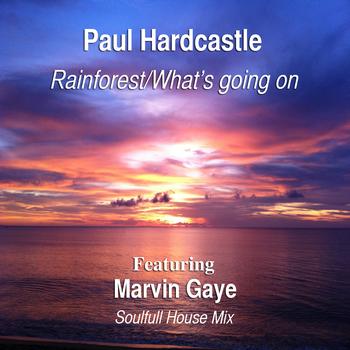 Paul Hardcastle - Rainforest/What's Going On (feat. Marvin Gaye) [Soulful House Mix]