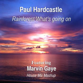 Paul Hardcastle - Rainforest/What's Going On (feat. Marvin Gaye) [House Mix Mashup]