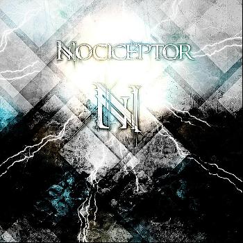 Nociceptor - Among Insects