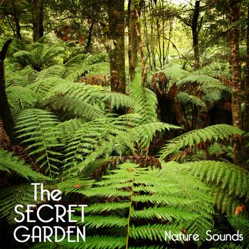 Sounds of Nature White Noise Sound Effects - The Secret Garden Nature Sounds - Relaxing Sounds of Nature for Deep Sleep, Baby Sleep, Yoga Pregnancy, Yoga Music Relaxation
