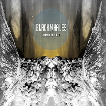Black Whales - Shangri-La Indeed