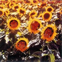 Sunnyboys - Individuals