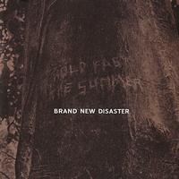 Brand New Disaster - Hold Fast the Summer