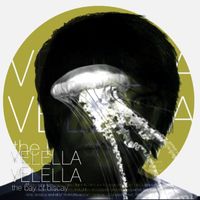 Velella Velella - Bay of Biscay