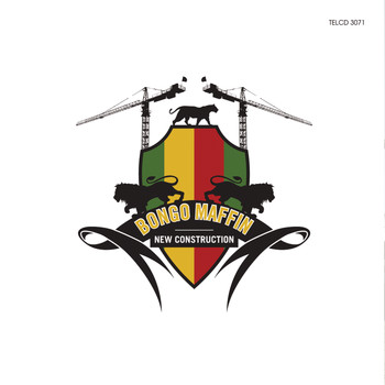 Bongo Maffin - New Construction