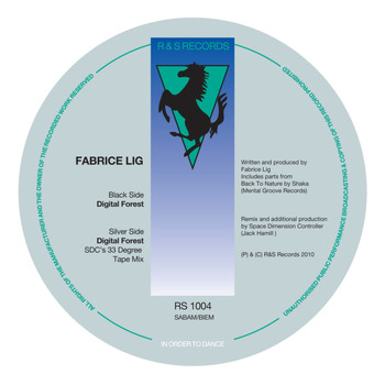 Fabrice Lig - Digital Forest