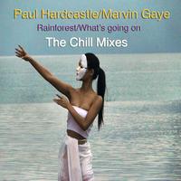 Paul Hardcastle - Rainforest/What's Going On (The Chill Mixes)