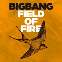 Bigbang - Field Of Fire