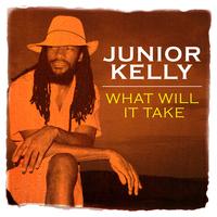 Junior Kelly - What Will It Take
