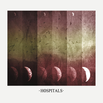 Hospitals - Hospitals