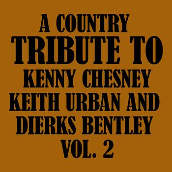 Déjà Vu - A Country Tribute to Kenny Chesney, Keith Urban and Dierks Bentley Vol. 2