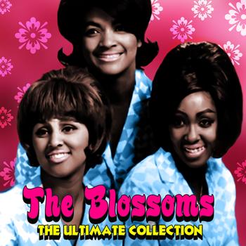 The Blossoms - The Ultimate Collection