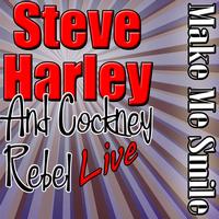 Steve Harley and Cockney Rebel - Make Me Smile: Steve Harley Live
