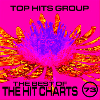 Top Hits Group - The Best of the Chart Hits, Vol. 73