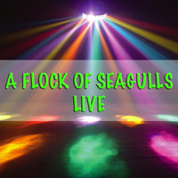 A Flock Of Seagulls - A Flock Of Seagulls - Live