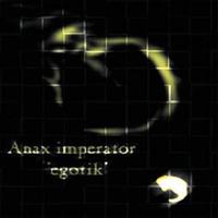Anax Imperator - egotik