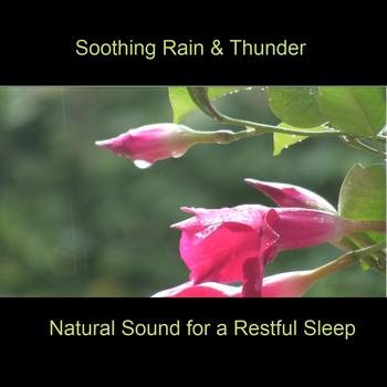 BMP-Music - Soothing Rain & Thunder