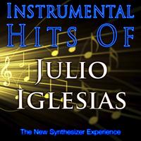 The New Synthesizer Experience - Instrumental Hits of Julio Iglesias