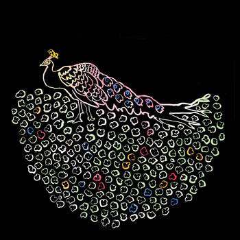Iron And Wine - Morning Becomes Eclectic