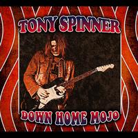 Tony Spinner - Down Home Mojo