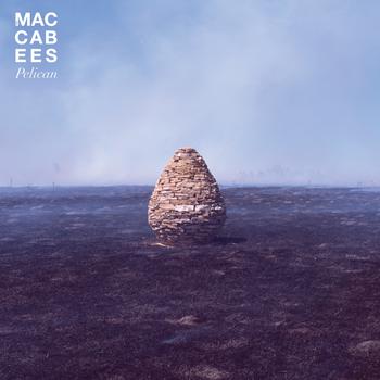 The Maccabees - Pelican