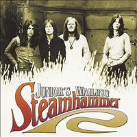 Steamhammer - Junior's Wailing (Digitally Remastered Version)