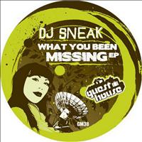 DJ Sneak - What You Been Missing