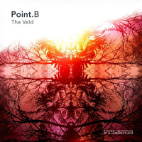 Point B - The Veld