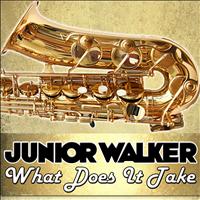 Junior Walker - What Does It Take
