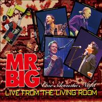 Mr. Big - Live From the Living Room