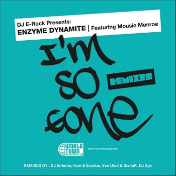 Enzyme Dynamite - DJ E-Rock Presents: I'm So Gone The Remixes