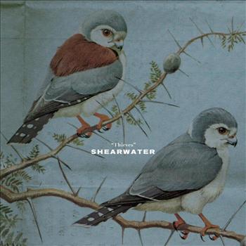 Shearwater - Thieves