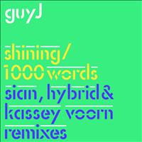 Guy J - Shining / 1000 Words Remixes