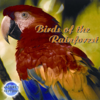 Nature's Rhythms - Birds Of The Rainforest