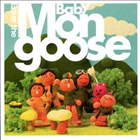 Baby Mongoose - Enter The Baby Mongoose