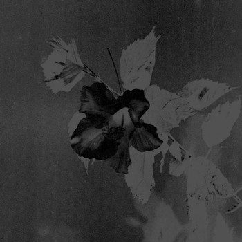 Jefre Cantu-Ledesma - Visiting This World