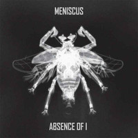Meniscus - absence of i