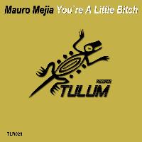 Mauro Mejia - You're a Little Bitch