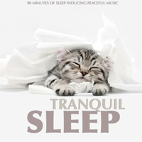 Vienna Philharmonic Orchestra - Tranquil Sleep