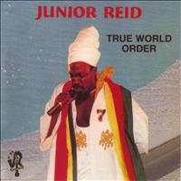 Junior Reid - True World Order
