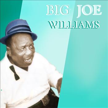 Big Joe Williams - Big Joe Williams' Greatest Hits