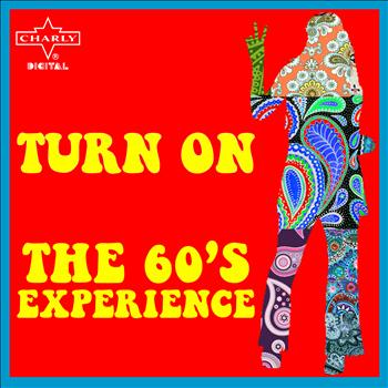 Various Artists - Turn On the 60's Experience