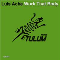 Luis Ache - Work That Body