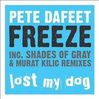 Pete Dafeet - Freeze