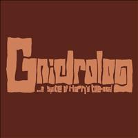 Gnidrolog - In Spite Of Harry's Toenail