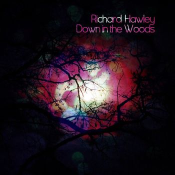 Richard Hawley - Down in the Woods